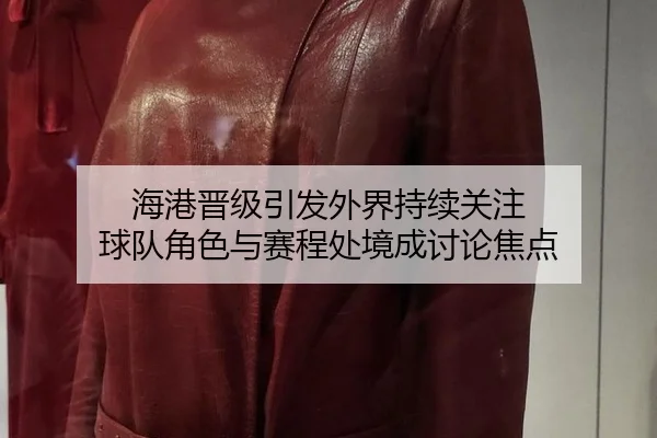 hai-gang-jin-ji-yin-fa-wai-jie-chi-xu-guan-zhu-qiu-dui-jue-se-yu-sai-cheng-chu-jing-cheng-tao-lun-jiao-dian-2-710.jpg